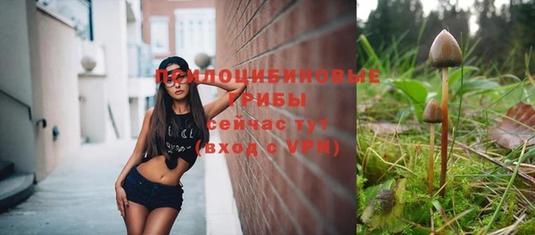 дживик Аркадак