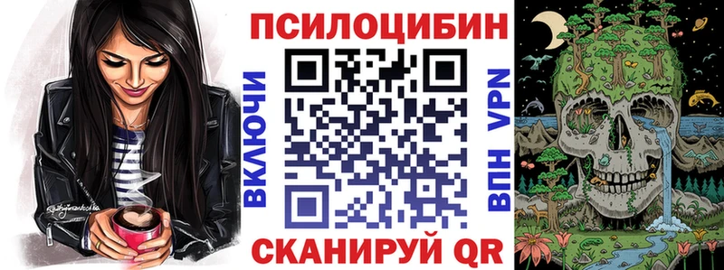 цены   Петухово  Псилоцибиновые грибы прущие грибы 